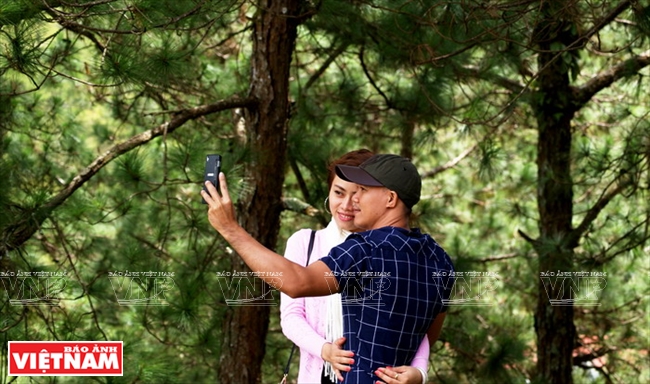 Một cặp t&igrave;nh nh&acirc;n l&atilde;ng mạn giữa rừng th&ocirc;ng.