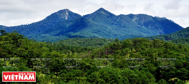 Đỉnh n&uacute;i Langbiang nh&igrave;n từ Thung lũng T&igrave;nh y&ecirc;u.