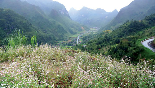 Nơi rẻo cao Hà Giang