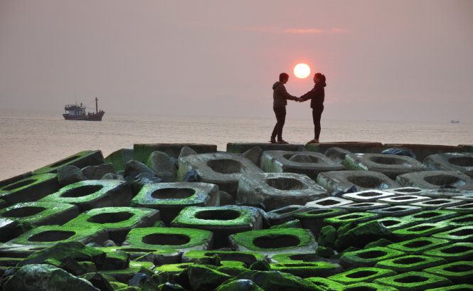 Những đoạn kè chống xói lở bờ biển bám đầy rêu xanh - Ảnh: Dương Thanh Xuân