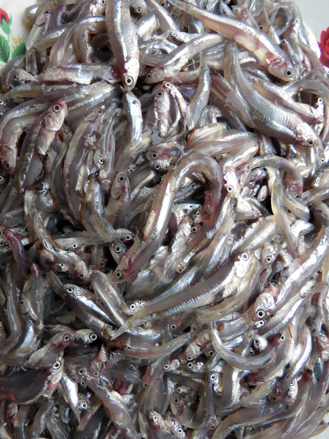 ​Về Mỹ Á ăn cá cơm 