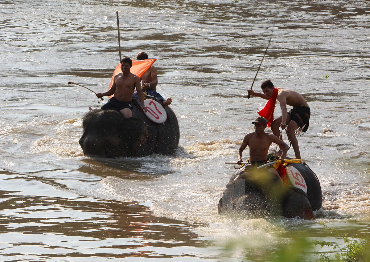 Hội thi voi vượt s&ocirc;ng S&ecirc;r&ecirc;pốk