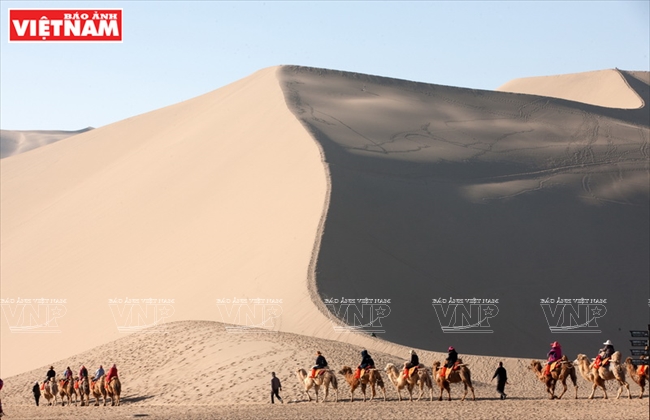 Từng tốp lạc đà chở du khách xếp hàng dài trên nền cát vàng óng của sa mạc Gobi là một cảnh tượng khó quên đối với du khách khi đến tham quan và khám phá.