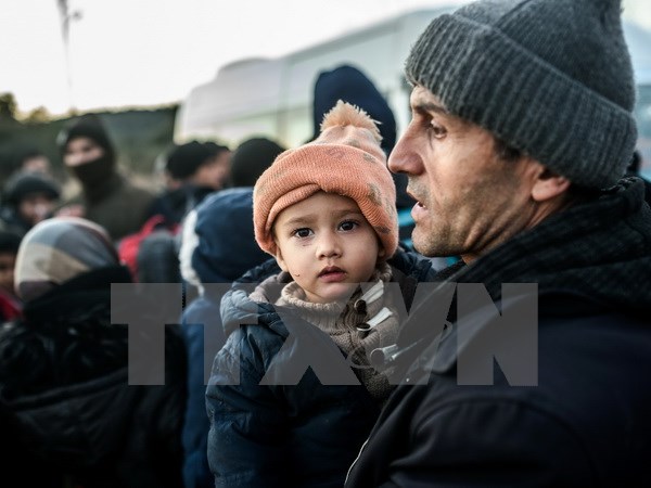 Argentina tuyên bố sẵn sàng tiếp nhận 3.000 người di cư Syria