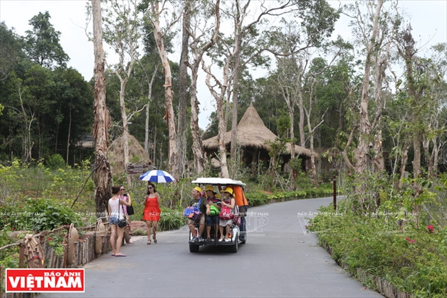 Du khách có thể lựa chọn cách tham quan khu vườn thú mở Vinpearl Safari Phú Quốc bằng xe điện.