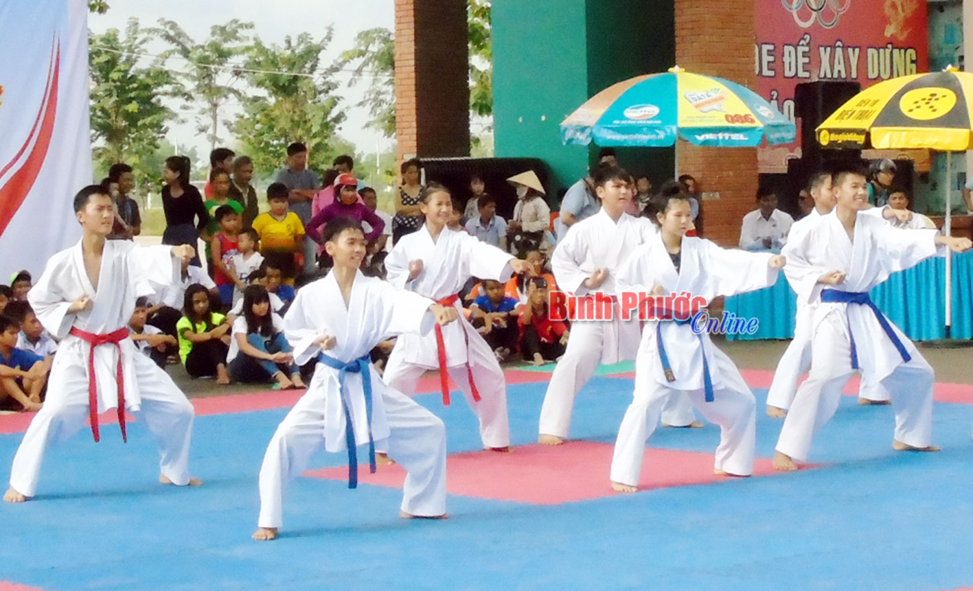 Biểu diễn võ Taekwondo