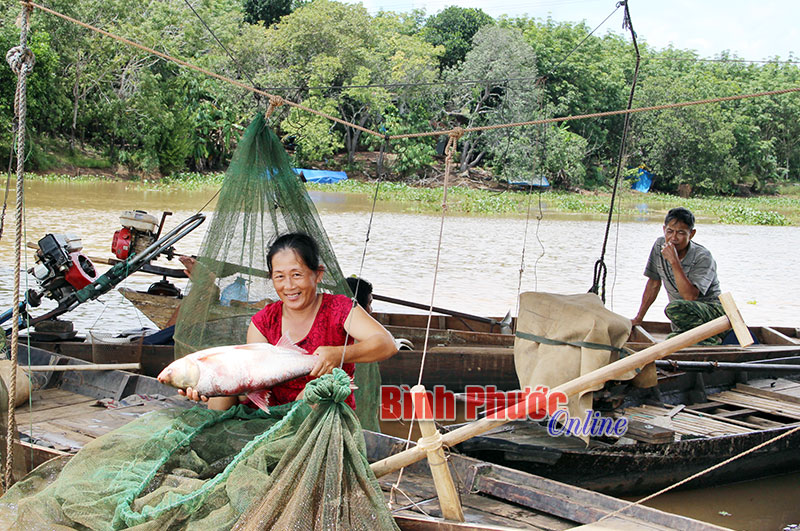               Những người di cư tự do từ Campuchia về Bình Phước chủ yếu sống bằng nghề đánh bắt thủy sản (ảnh chụp trên hồ Phước Hòa, đoạn thuộc địa phận xã Nha Bích, huyện Chơn Thành)