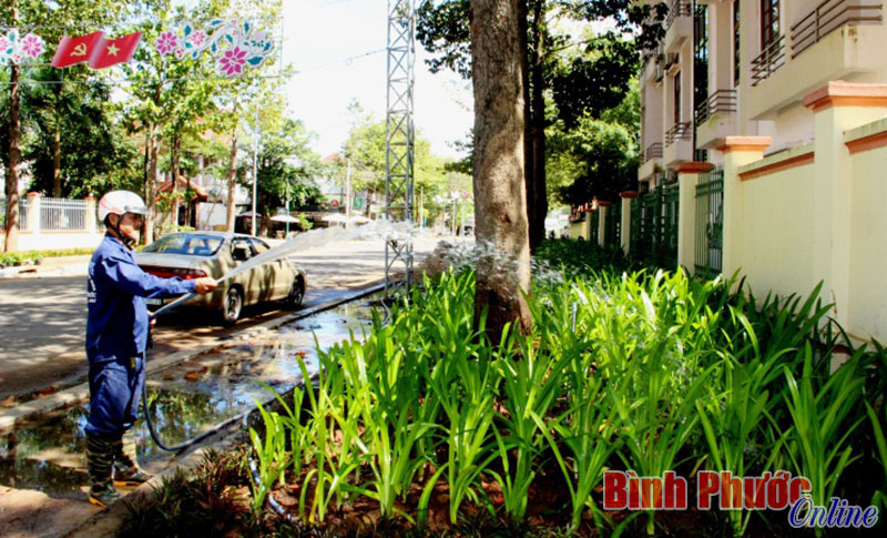 Công ty TNHH cây xanh Tây Nguyên (Đắk Nông) đã trồng xong hệ thống cây xanh tại quảng trường tỉnh