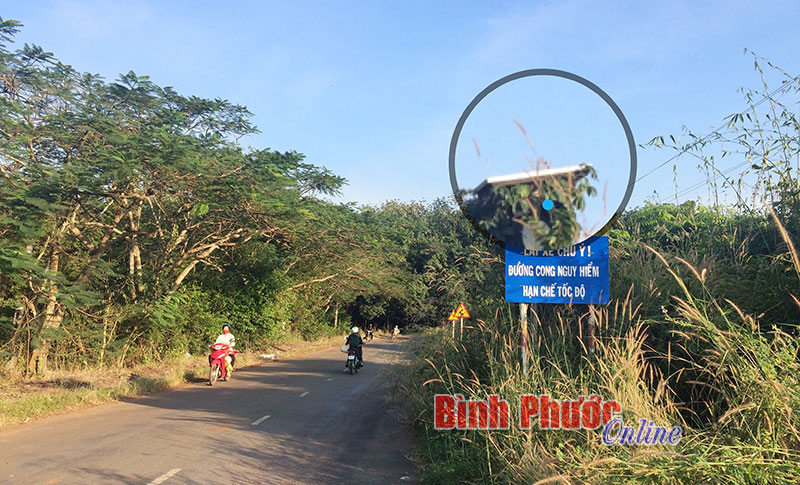 Đèn cảnh báo đoạn đường nguy hiểm, đi chậm bị cây, dây leo che khuất (ảnh chụp tại đường ĐT756, đoạn giáp ranh xã Minh Lập với xã Quang Minh)