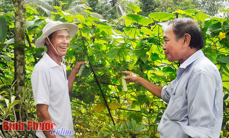 Cựu chiến binh Phạm Đức Hạnh (trái) chia sẻ kinh nghiệm sản xuất với hội viên