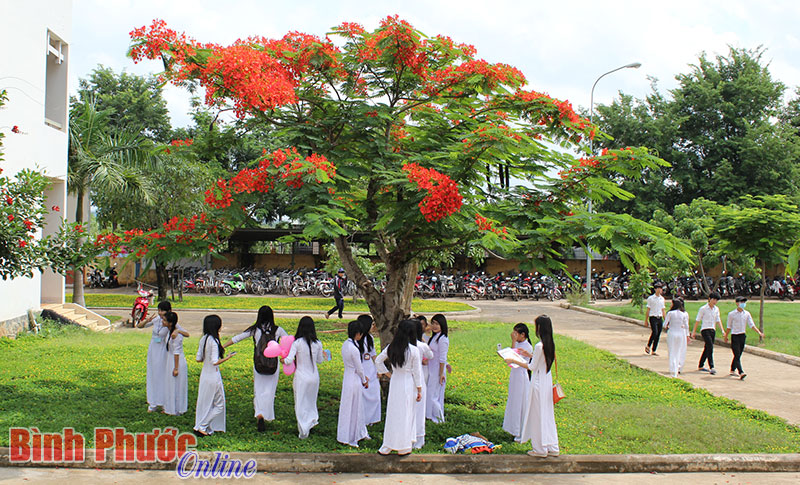 Ngăn chặn bạo lực học đường