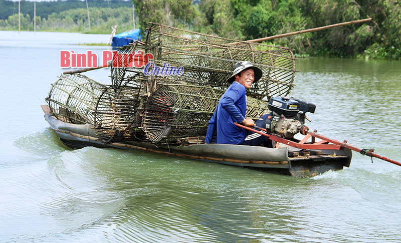 Anh Lê Văn Hải (xã Tân Hiệp, huyện Hớn Quản) ngược dòng sông Sài Gòn đặt đú bắt cá lăng đuôi đỏ, cá bống