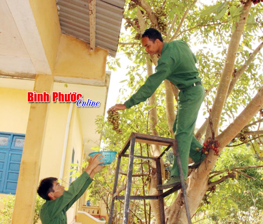 C&aacute;c chiến sĩ h&aacute;i sung v&agrave; đu đủ chuẩn bị b&agrave;y m&acirc;m ngũ quả