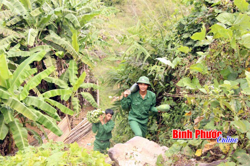 Đưa "xu&acirc;n" từ vườn tăng gia về đồn