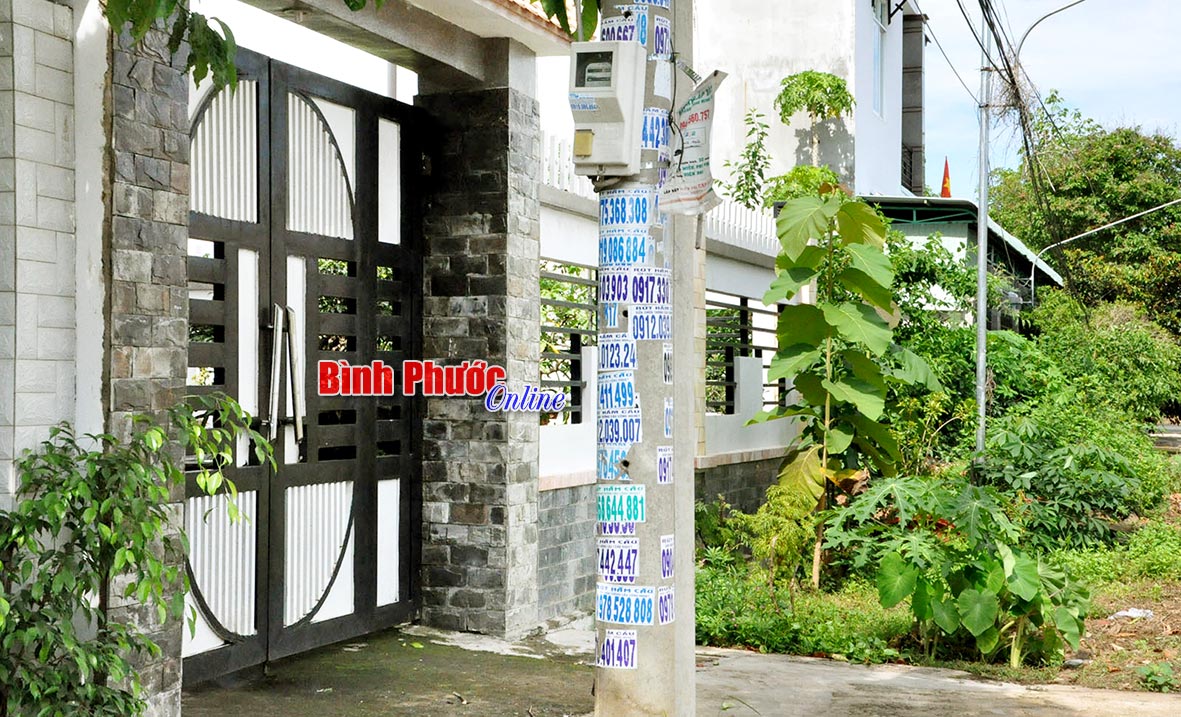 Hầu hết cột điện trên đường Hoàng Văn Thái, phường Tân Phú cũng mang trên mình rất nhiều số điện thoại của dịch vụ hút hầm cầu, khoan giếng...