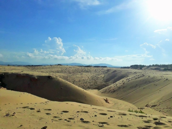 Đồi cát trên đảo Nhơn Lý. (Ảnh: Phạm Thi)