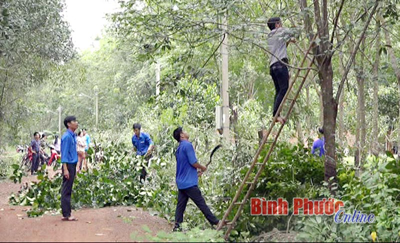 Đoàn xã Minh Thắng chung tay “Thắp sáng đường quê”