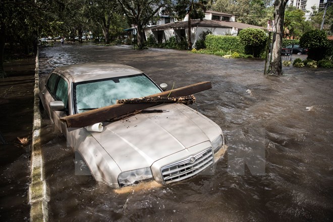 Bão Irma khiến 200 người trên đảo St. Martin có thể mất tích