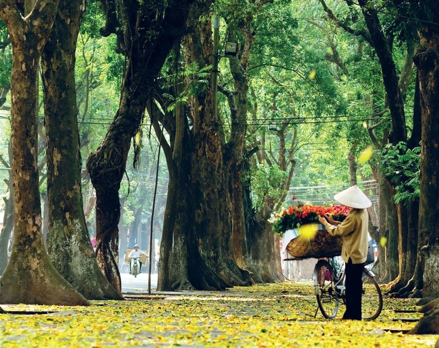 Việt Nam lọt top 10 điểm đến hot nhất mùa thu 2017 do National Geographic Travel bình chọn