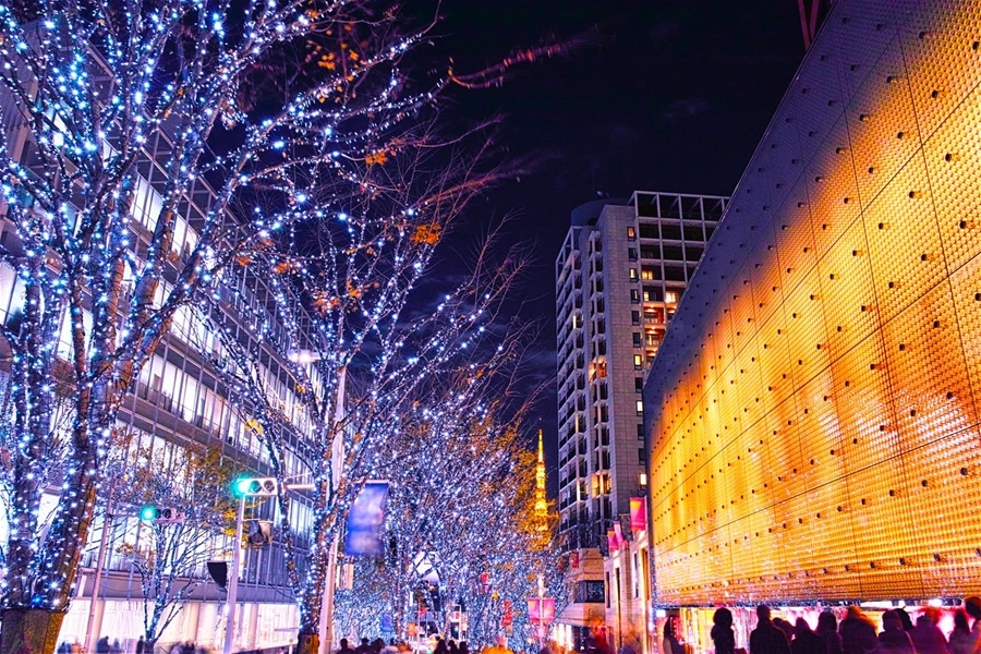 Du lịch quên lối về ở Tokyo mỗi mùa đông sang
