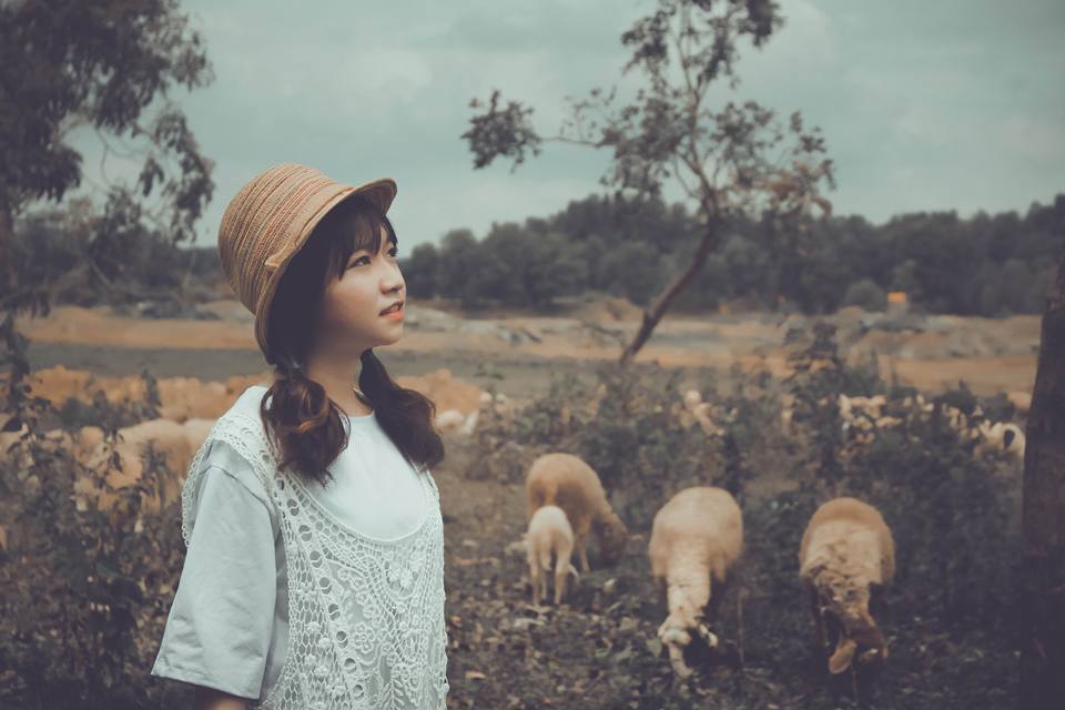 Khám phá 5 đồng cừu đẹp nhất Việt Nam dành cho hội sống ảo