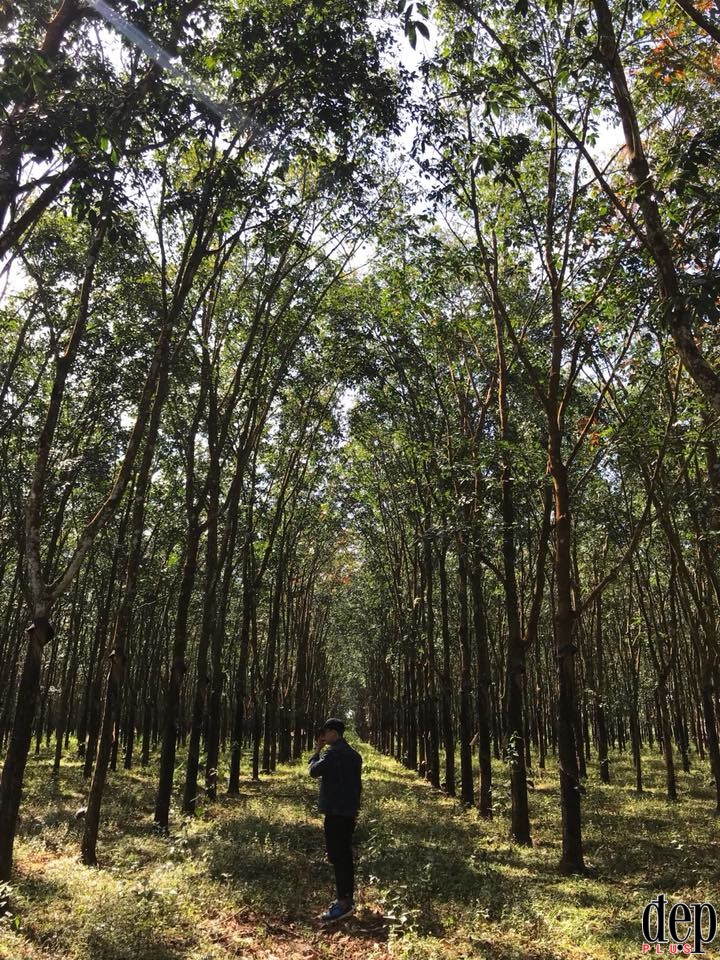 Đập Ph&uacute; Mỹ - địa điểm khiến giới trẻ Gia Lai bất chấp nguy hiểm để check-in