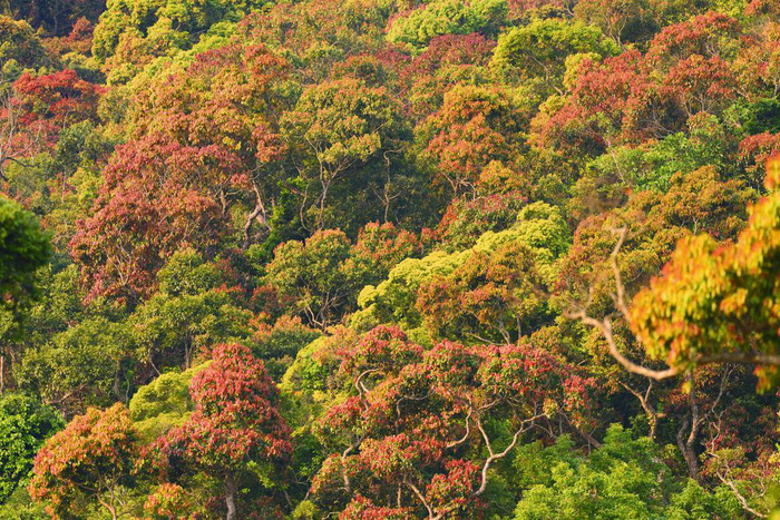 Khám phá 30 địa điểm du lịch Việt Nam Khám phá 30 địa điểm du lịch Việt Nam