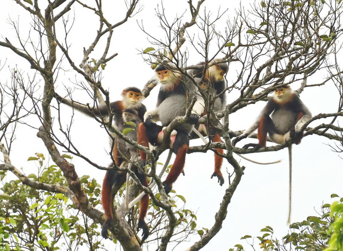 Khám phá 30 địa điểm du lịch Việt Nam Khám phá 30 địa điểm du lịch Việt Nam