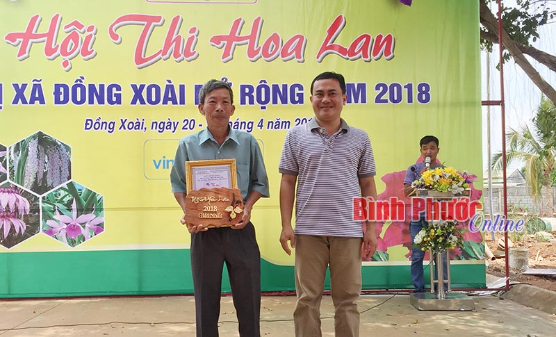 Đồng Xoài tổ chức hội thi hoa lan mở rộng