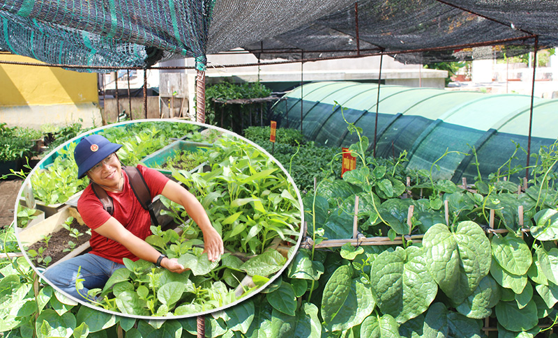 Thiên nhiên cũng phải “cúi đầu”