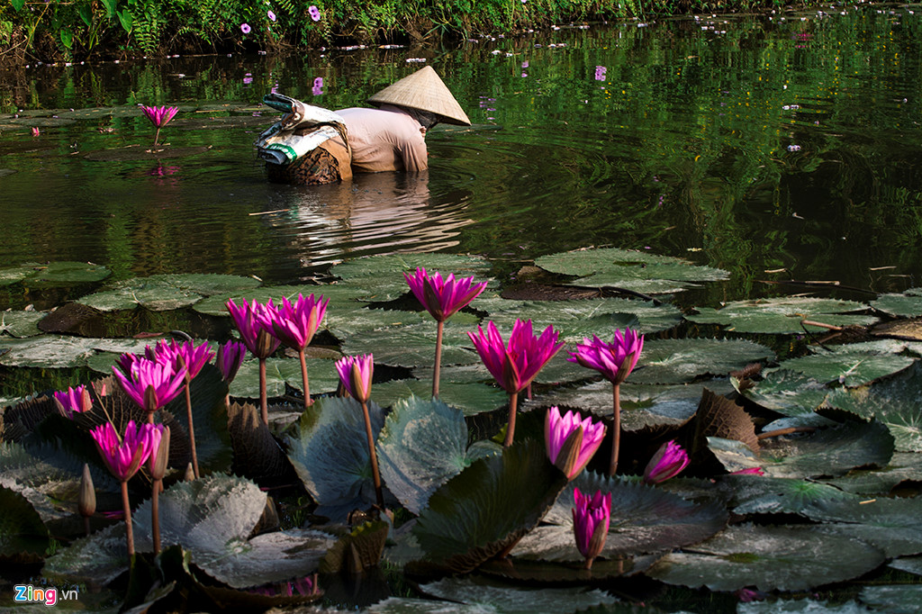 Nghỉ lễ Quốc khánh, về Ninh Bình trải nghiệm cuộc sống mộc mạc Nghỉ lễ Quốc khánh, về Ninh Bình trải nghiệm cuộc sống mộc mạc