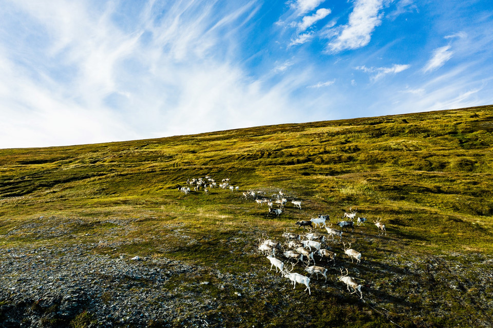 Đến Na Uy mùa thu, ngắm cực quang đẹp tựa miền cổ tích hình ảnh 18 Den Na Uy mua thu, ngam cuc quang dep tua mien co tich hinh anh 18