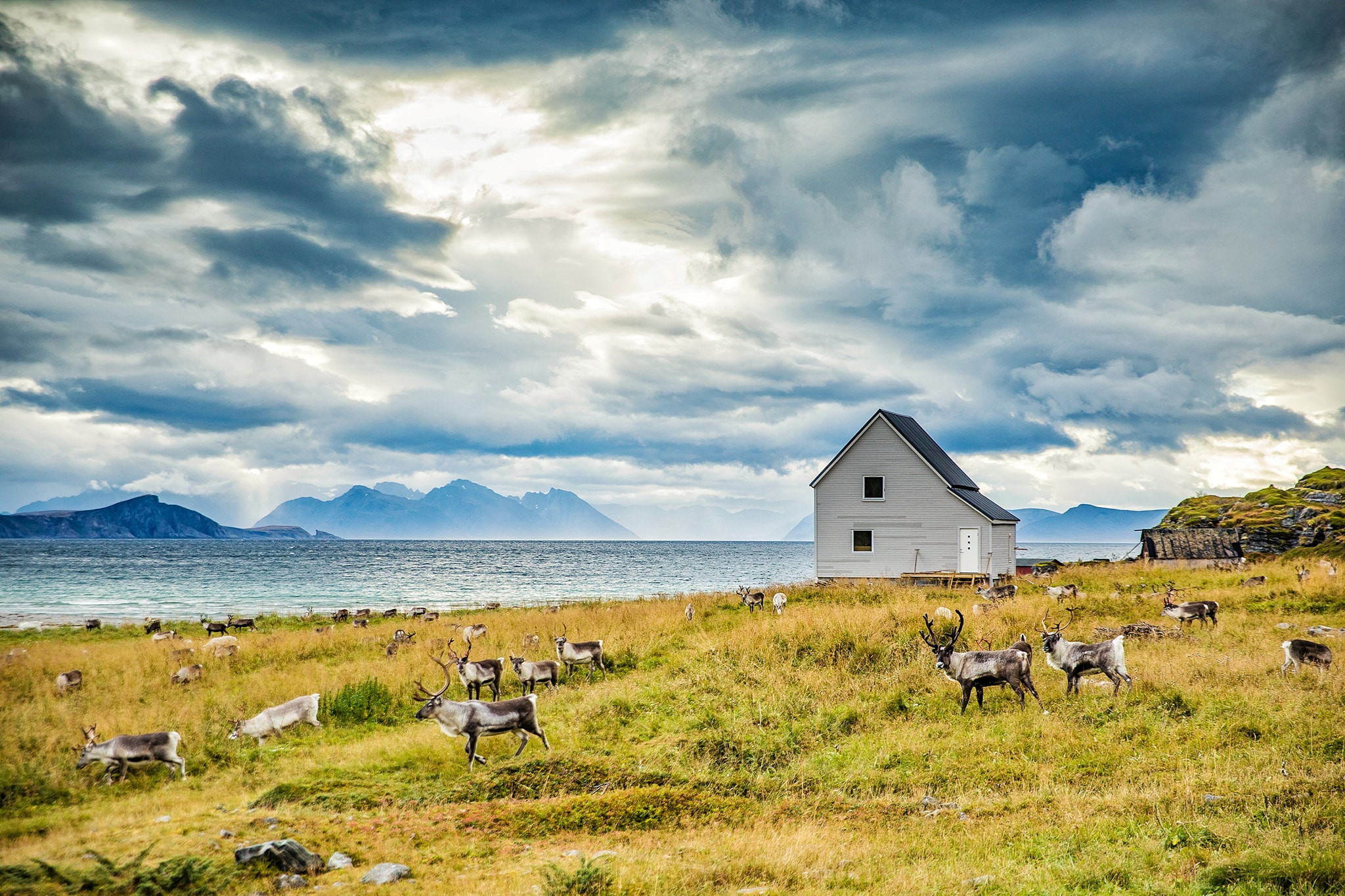 Den Na Uy mua thu, ngam cuc quang dep tua mien co tich hinh anh 22