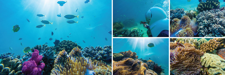 Nhung khoanh khac tuyet dep di san Viet Nam 2018 hinh anh 5