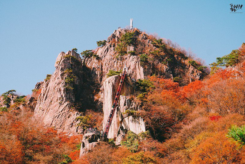 Mãn nhãn ngắm mùa lá đỏ Hàn Quốc tuyệt đẹp dịp thu về hình ảnh 15 Man nhan ngam mua la do Han Quoc tuyet dep dip thu ve hinh anh 15