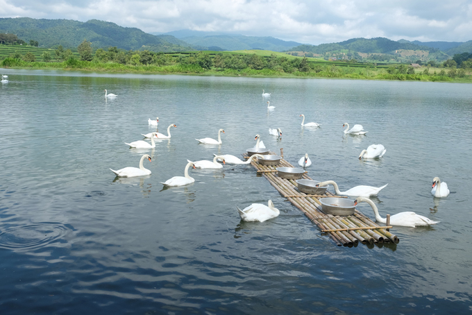 Chiang Rai - vùng đất có các điểm check-in độc lạ ở Thái Lan