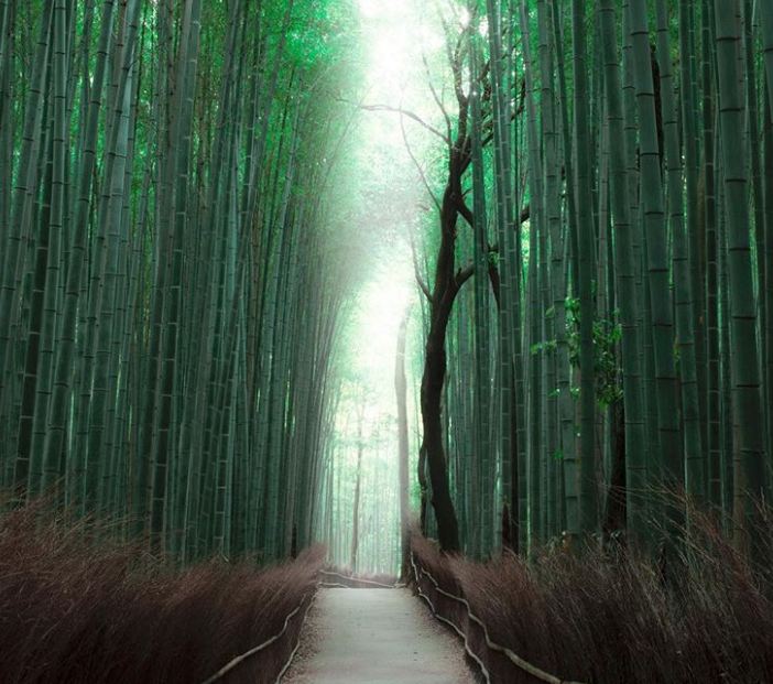 Choáng váng với những địa điểm đẹp ảo diệu, ngỡ chỉ có trên phim Choáng váng với những địa điểm đẹp ảo diệu, ngỡ chỉ có trên phim