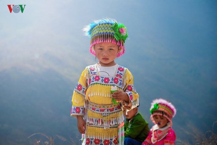 Tới Hà Giang ngắm hoa tam giác mạch đẹp ngất ngây