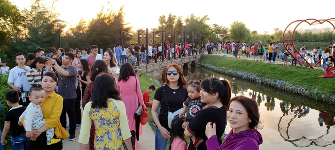 Hàng trăm người chen chúc nhau chụp ảnh ở vườn hướng dương Hải Phòng