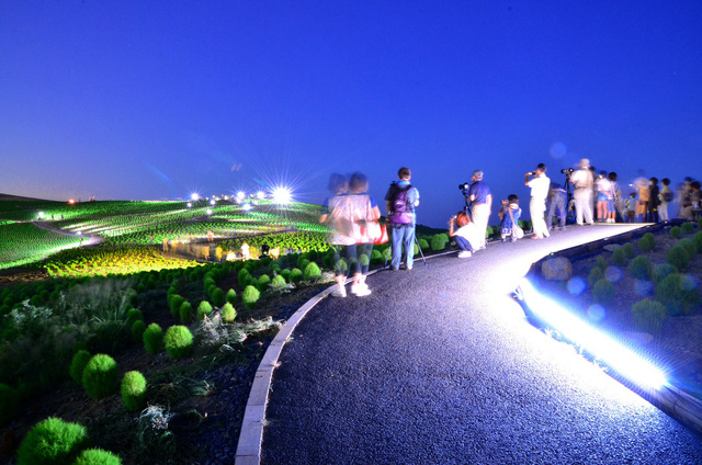 Đến Nhật nhớ khám phá ngọn đồi đẹp như cổ tích này