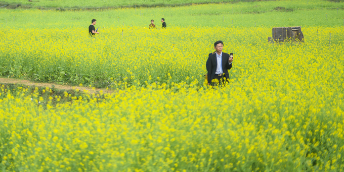 Bên trong thung lũng hoa lớn nhất Việt Nam