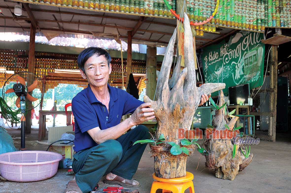 Ông Dương Quang Phú cẩn thận chăm sóc từng nhánh lan như những đứa con tinh thần của mình