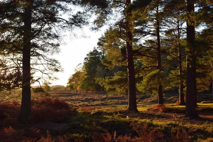 Khung cảnh ngoạn mục trong các vườn quốc gia ở Anh