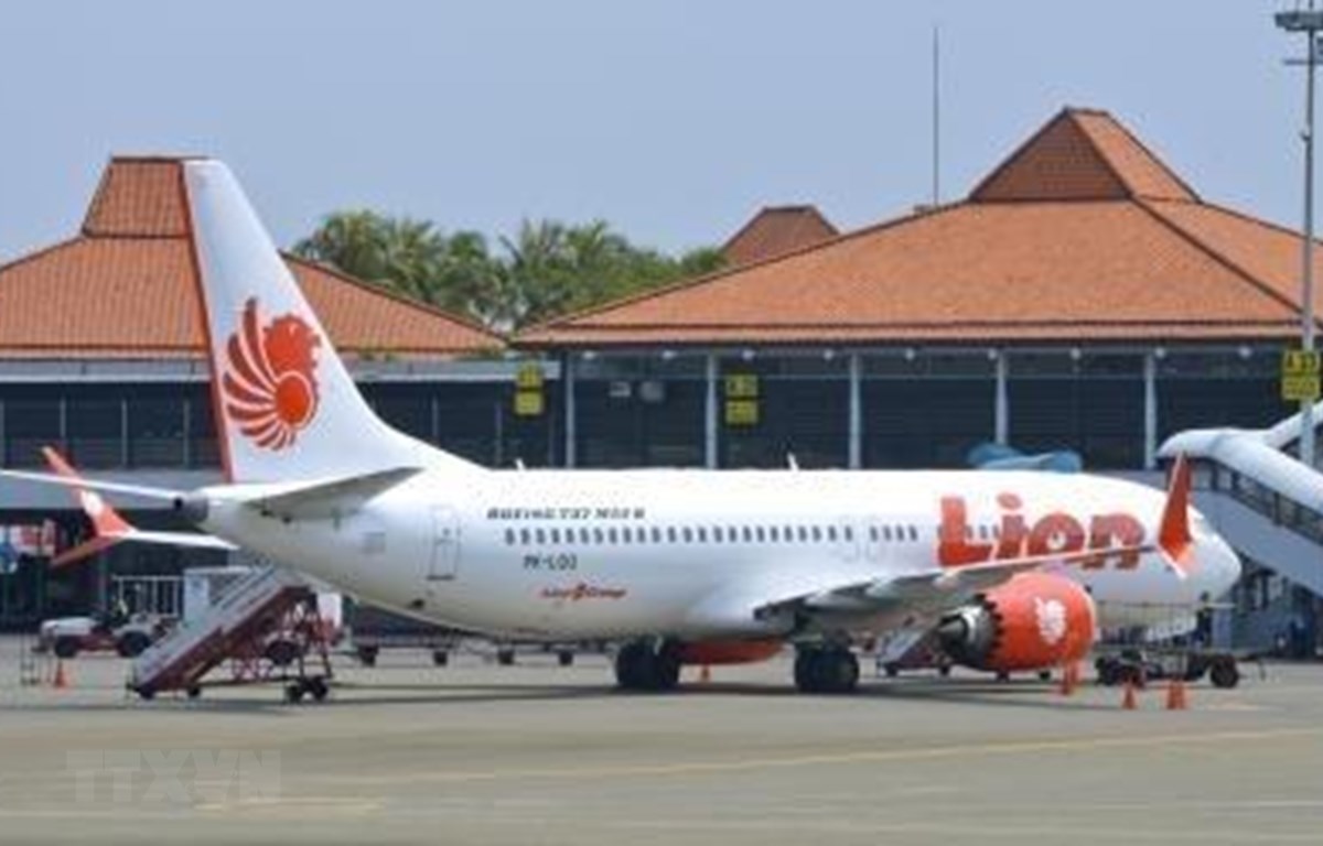 Máy bay Boeing 737 MAX 8 của Hãng hàng không Lion Air tại sân bay Jakarta, Indonesia. (Ảnh: AFP/TTXVN)


