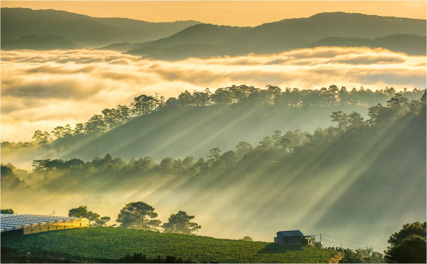 Những điểm ngắm sương vờn mây lúc bình minh ở Đà Lạt