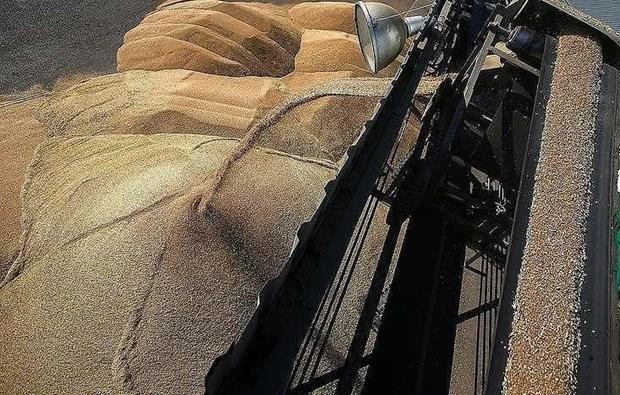 Lien hop quoc: Trieu Tien can them khoang 1,36 trieu tan ngu coc hinh anh 1