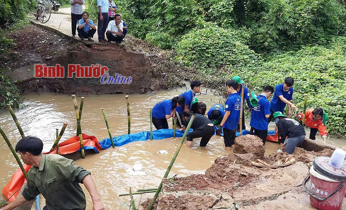 Đoàn viên thanh niên xã Thanh Lương xây dựng cây cầu tại tổ 8, ấp Thanh Tuấn