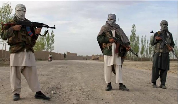 Afghanistan: Luc luong phien quan Taliban bat coc nhieu nha bao hinh anh 1