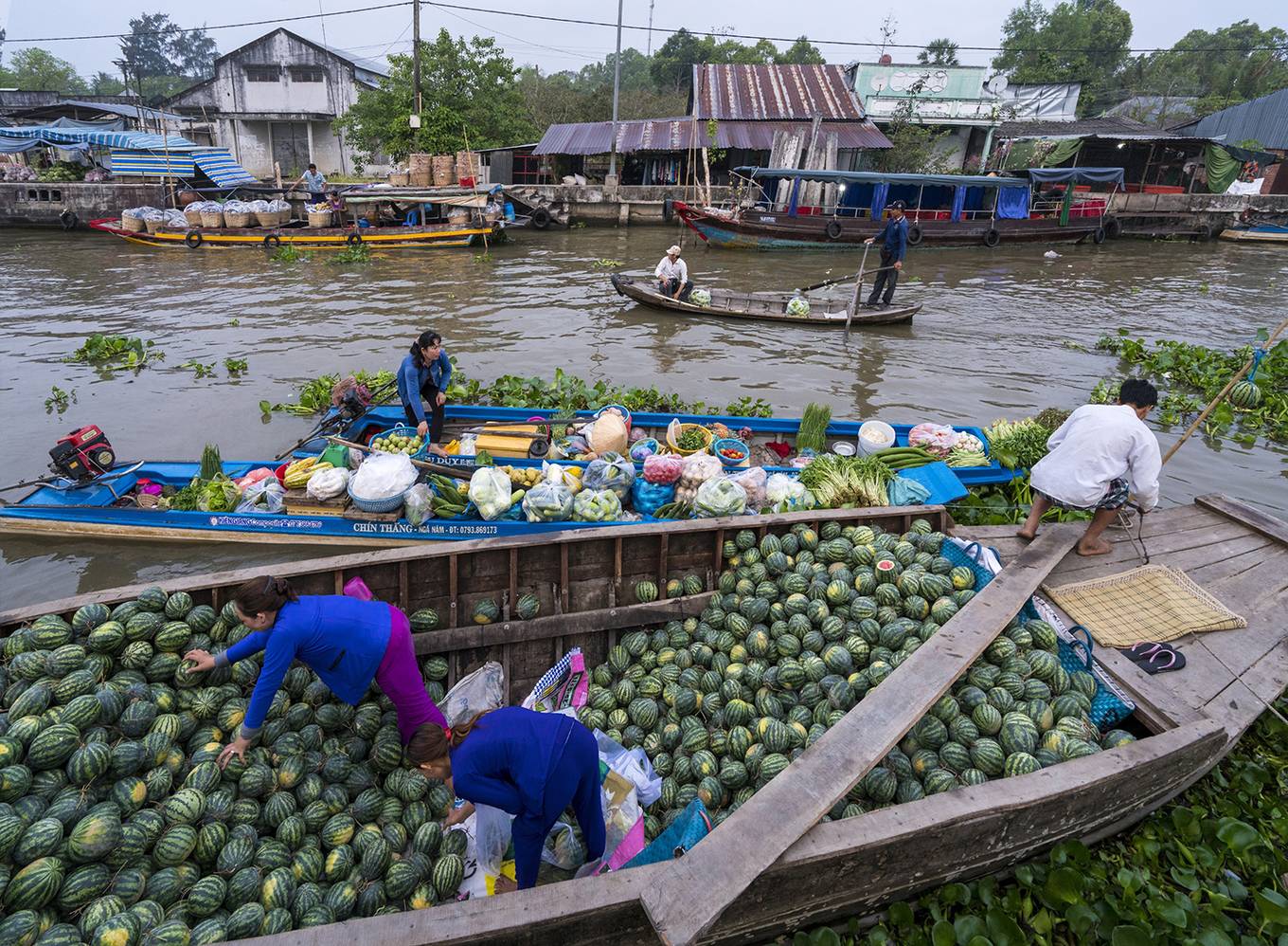 Khu chợ nổi nằm giữa 5 con sông ở miền Tây