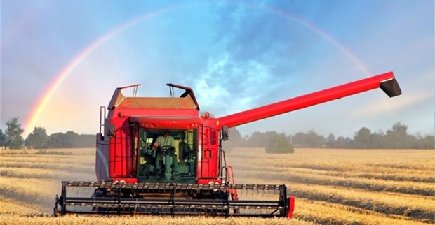 Gia cac loai nong san the gioi dong loat giam trong tuan qua hinh anh 1